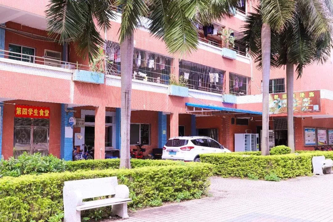 惠州经济职业技术学院建议报吗,高职高考看什么视频