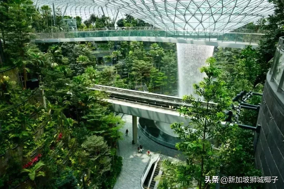 新加坡在国人眼里,外国人惊叹新加坡