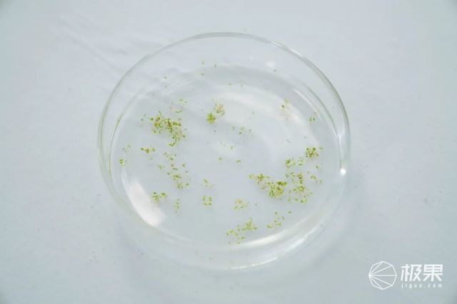 笔记本电脑抗蓝光和护眼屏的区别,防蓝光护眼电脑屏幕真的能有效吗