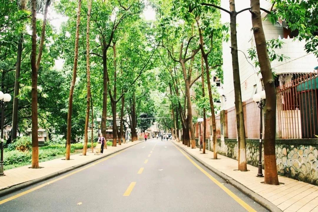 广东第二师范学院数学系,广东第二师范学院分数线