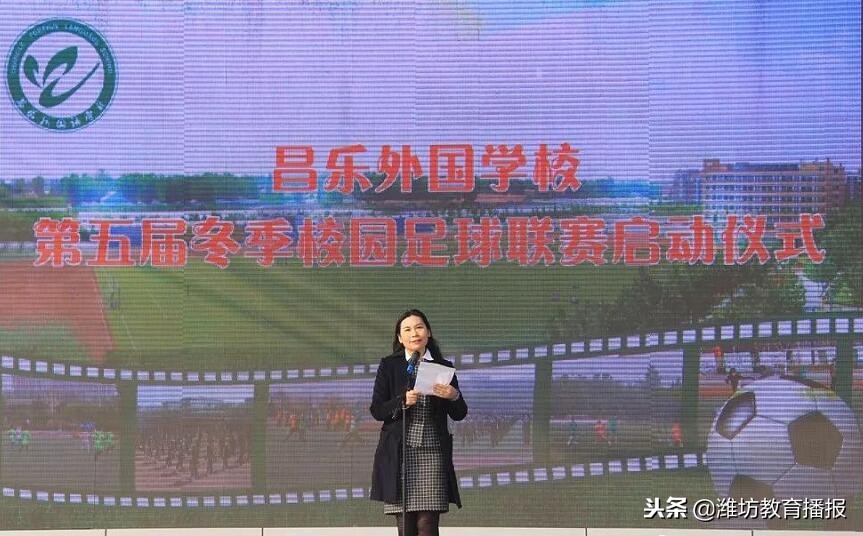 足球小将驰骋绿茵比拼球技,无限风采始于足下内容