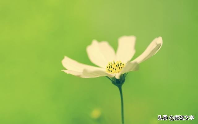 若千世界，总有人收留你