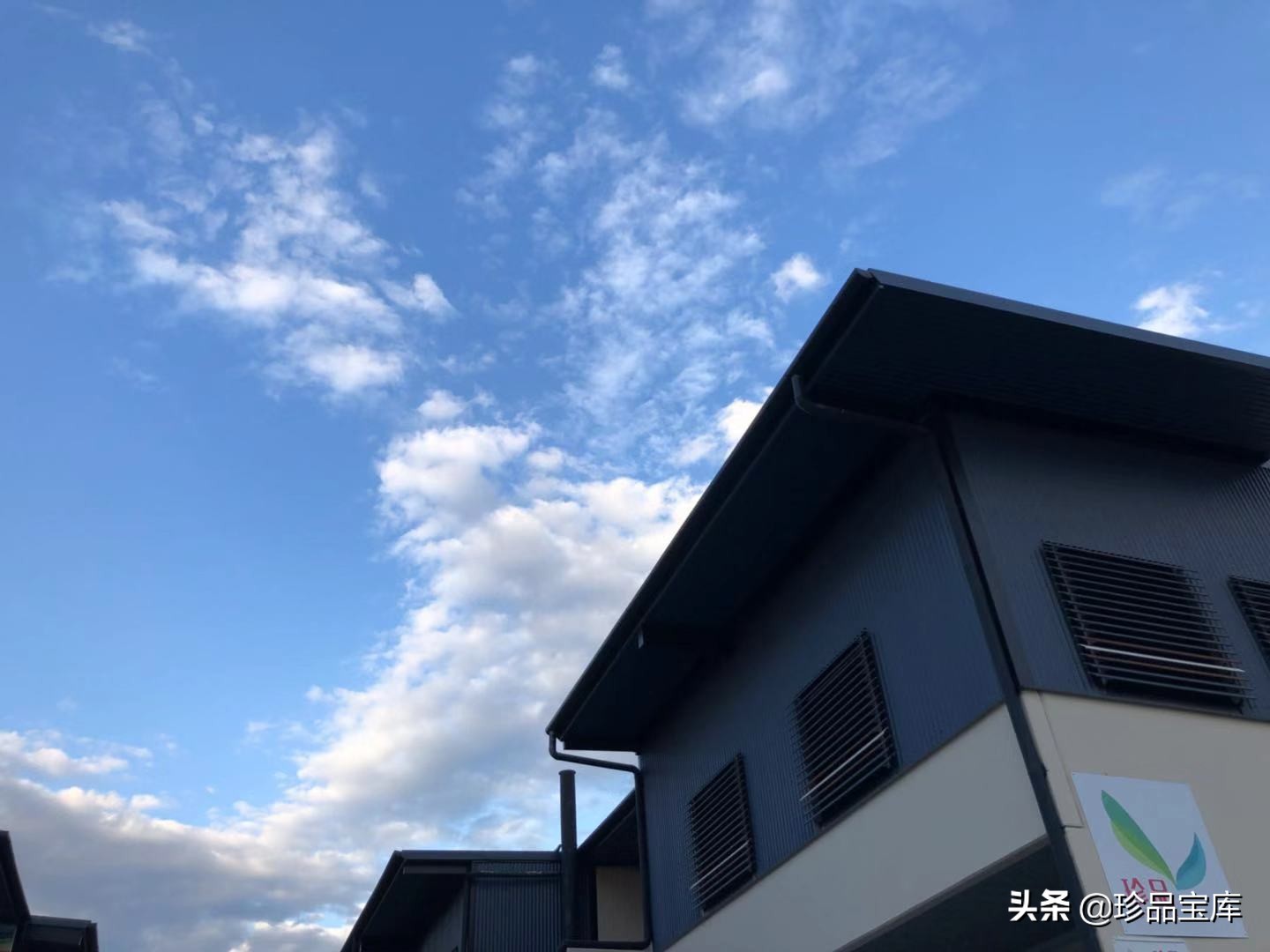 珍品宝库海淘,珍品宝库海淘怎么样