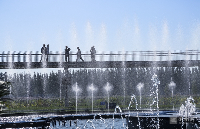 2018时光已走滨州日报90后小美摄影记者定格了您的最美