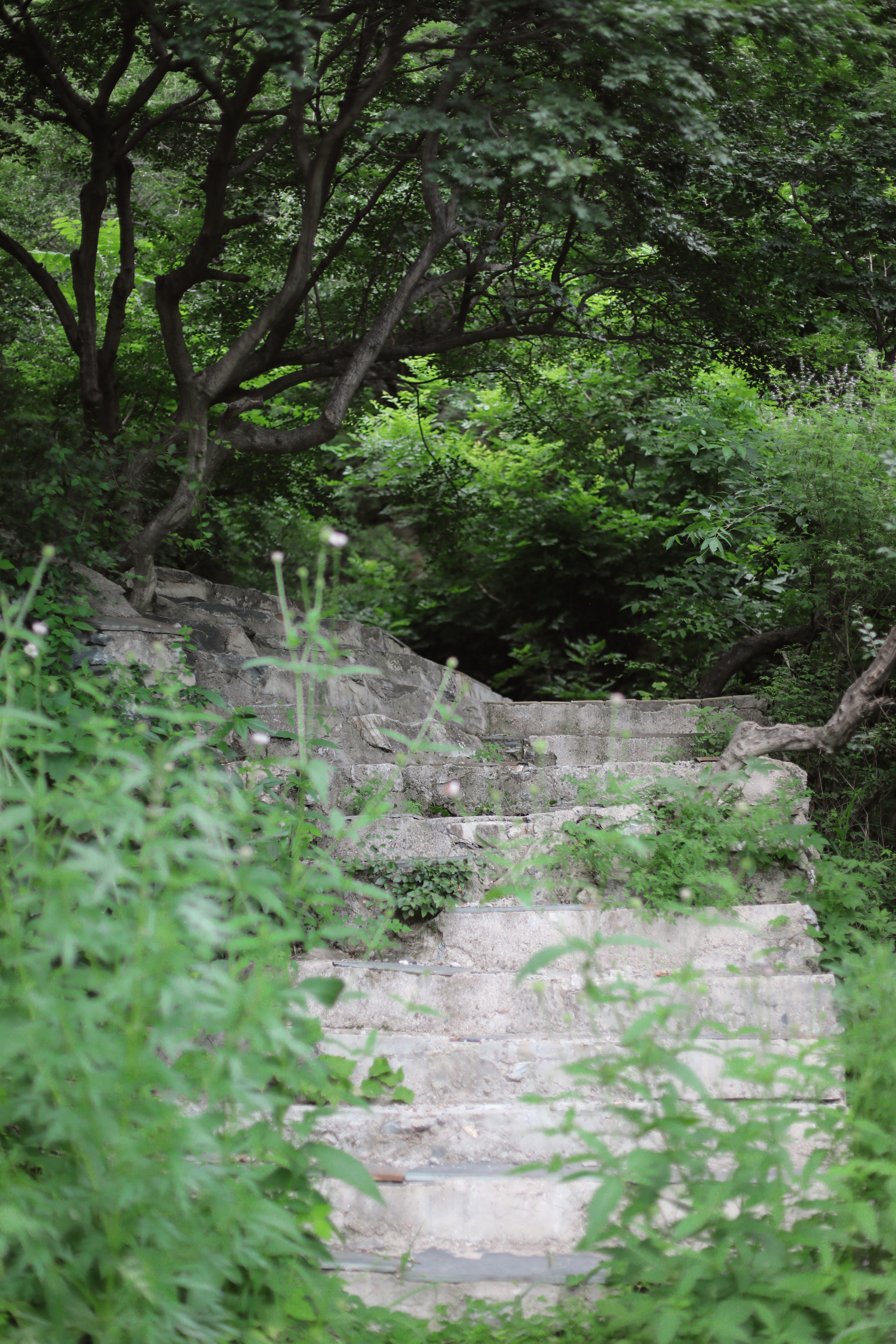 京郊十条登山步道推荐,房山蝴蝶谷登山步道