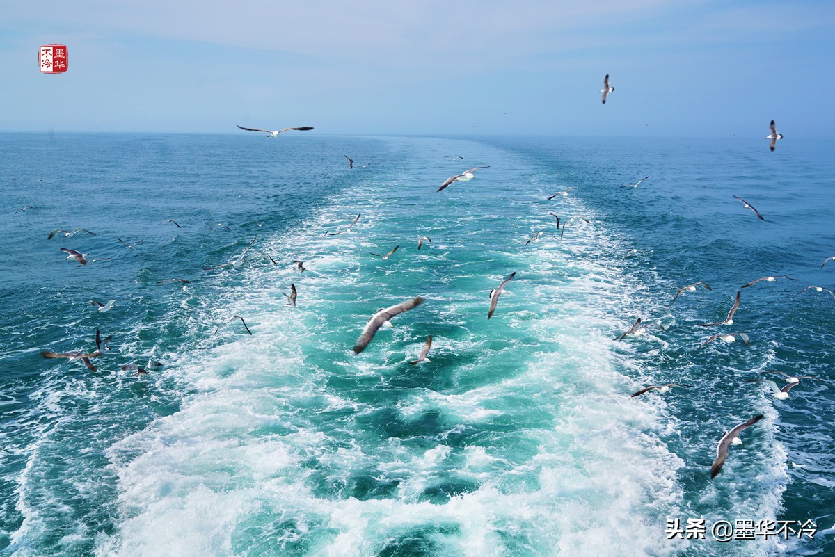 威海5月游记,威海最美一日游