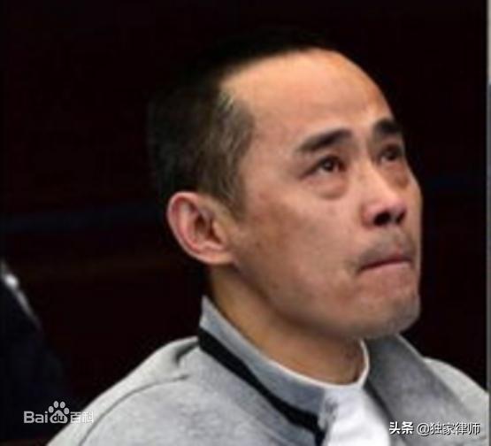 中国十大团伙惊天大案,中国黑社会大案要案纪实解说