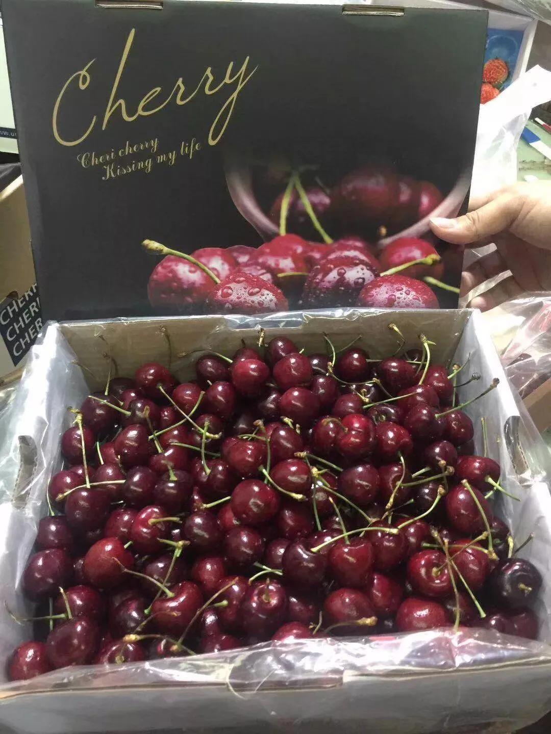 想吃水果的朋友看过来,爱吃水果的宝宝看过来