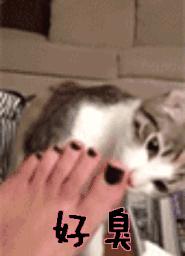 脚臭可能引起的皮肤疾病有哪些,脚臭和脚痒到底能不能治好