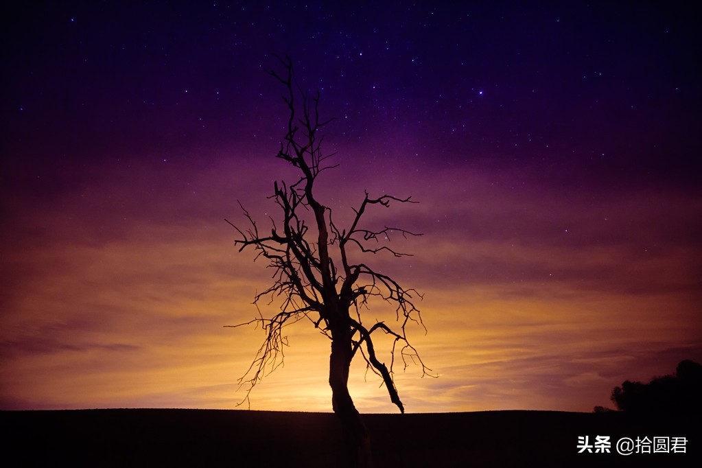 励志有活力的句子,鼓励人充满元气的句子