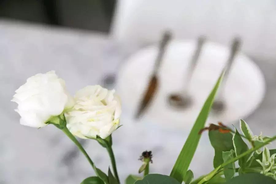 源和1916里的这家网红店，是花店也是甜点店还是图书馆