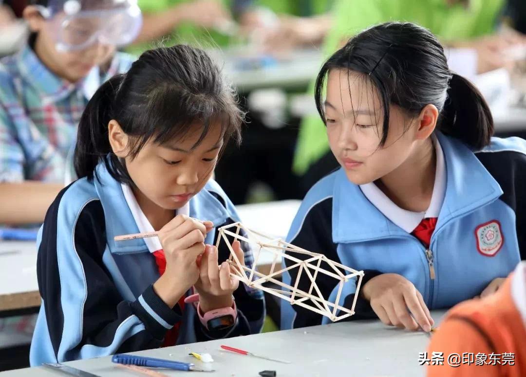 东莞最新规划中小学,东莞重点公办小学有哪些