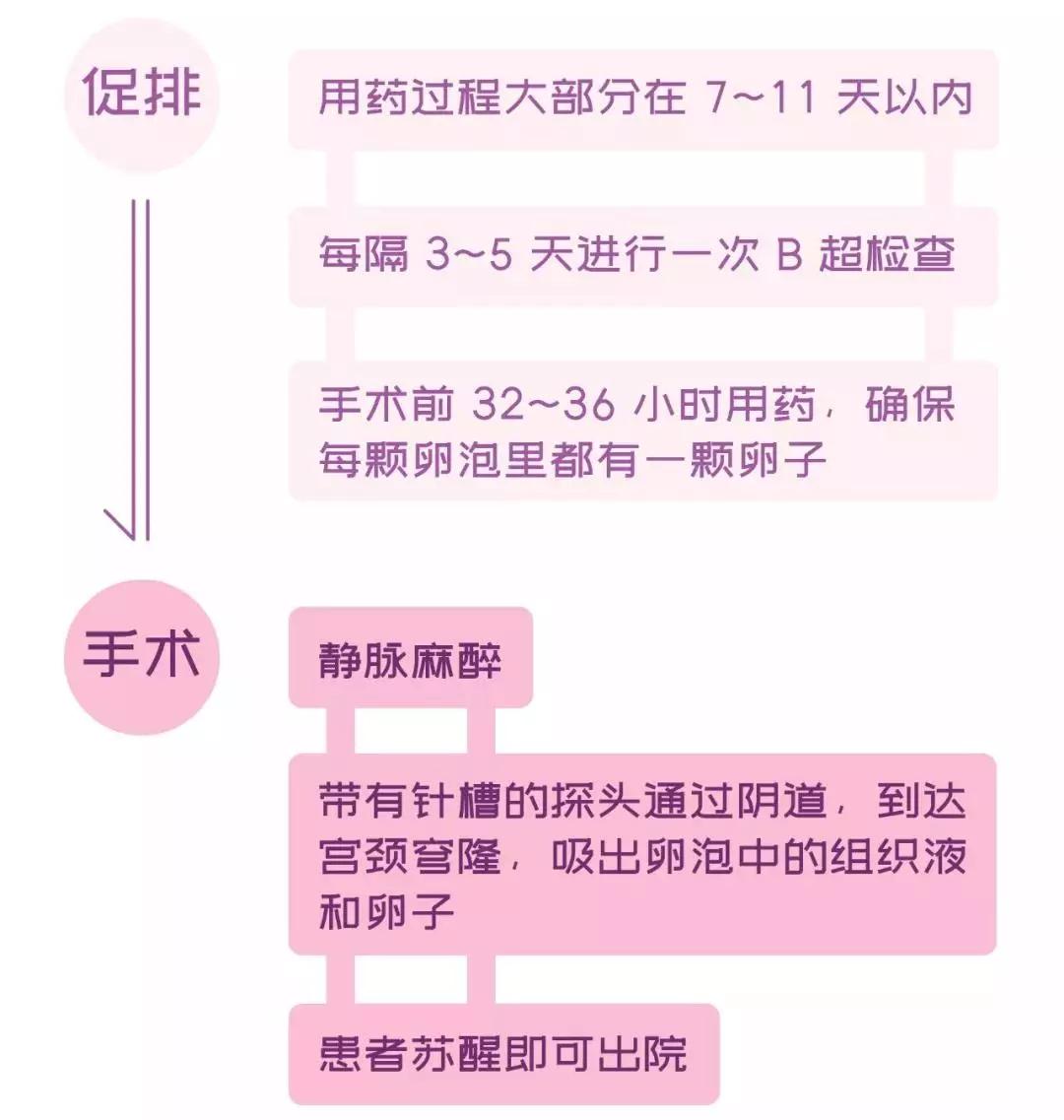 单身女性冻卵是否应被禁止,单身女性冻卵有必要吗