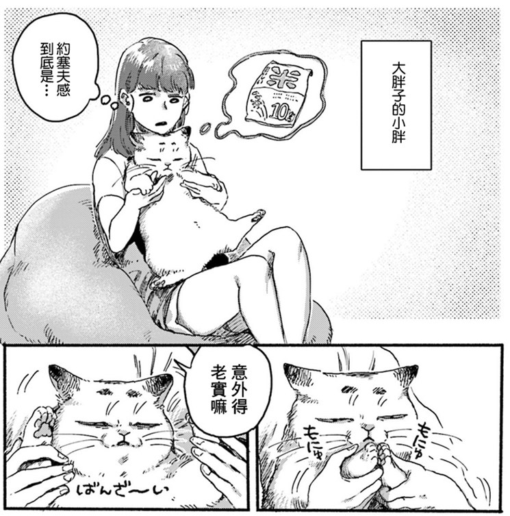 清新治愈！和3只猫一起生活的日子！又要骗我养猫！