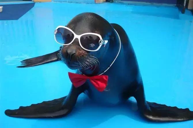 青岛极地海洋世界游玩攻略,青岛极地海洋世界隐藏消费