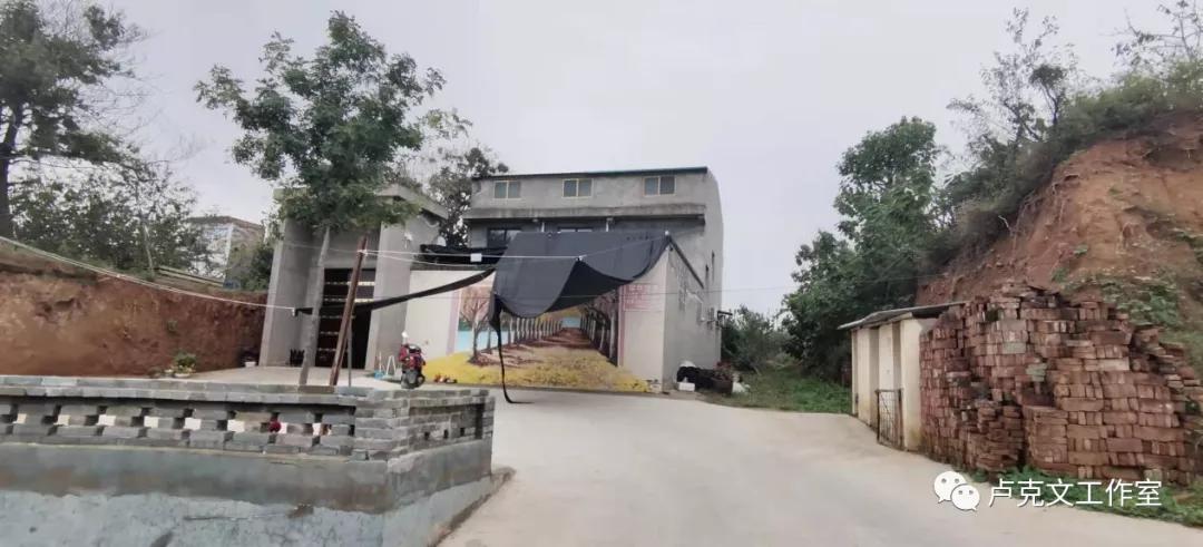 河南有多难卢克文工作室,河南到底有多难