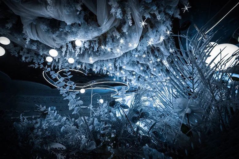 一场神秘浪漫的星空的婚礼,神秘浪漫的蓝色星空婚礼