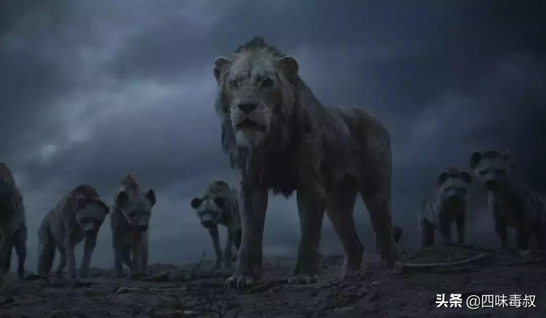 狮子王最近几年翻拍了吗,狮子王现实版完整版
