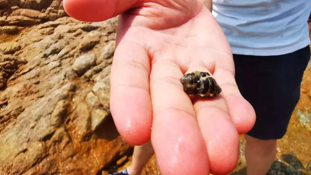 日照免费海滩推荐十一,十一去哪里玩人少风景还好