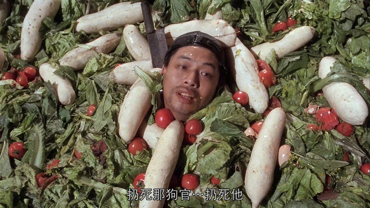 花样人生歌曲视频,花样人生七律新韵诗词