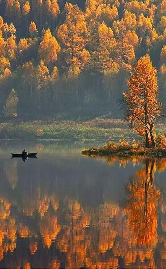 秋天落叶一拍都是一幅画,秋天的景色美得好像一幅画