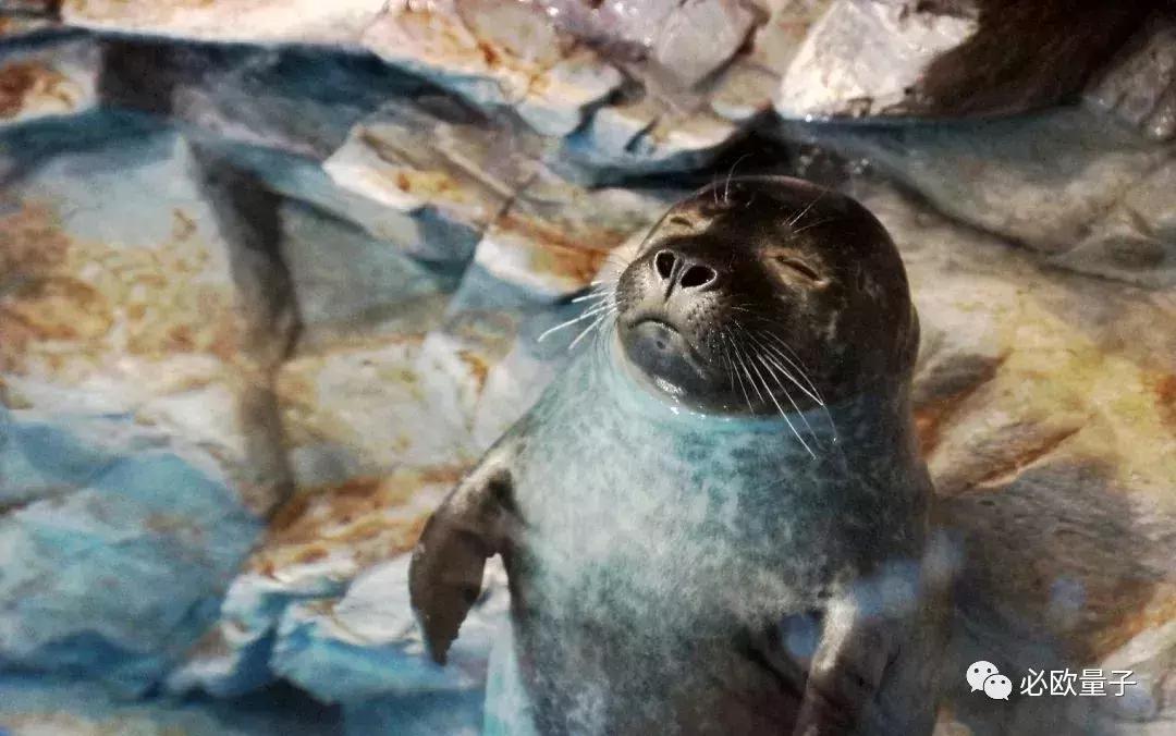 8小时睡眠视频音乐完整,你以为的八小时睡眠