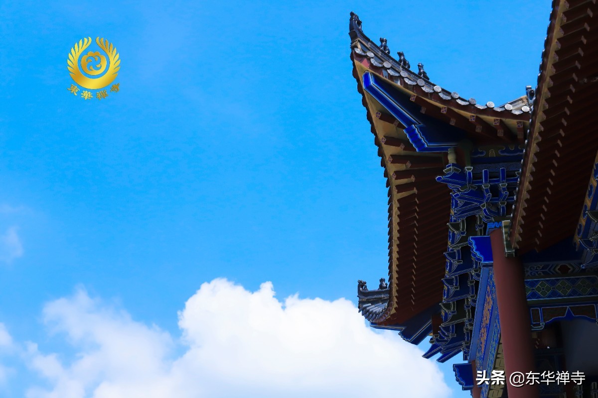 万行开示,万行法师讲福报