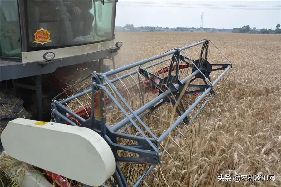 麦客首选，一机多用！沃得皓龙轮式纵轴流4LZ-8F型收获机闪耀上市
