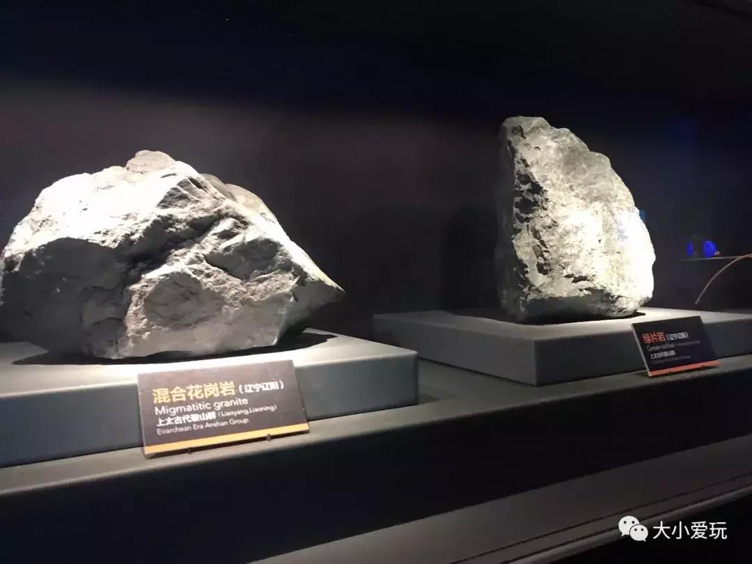 开放首日实探国家海洋博物馆，史上最抢手博物馆究竟长什么样