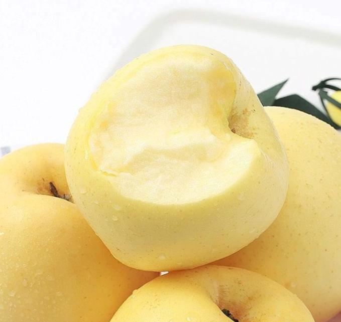 夏季山东地区可以吃的应季水果,山东应季水果推荐