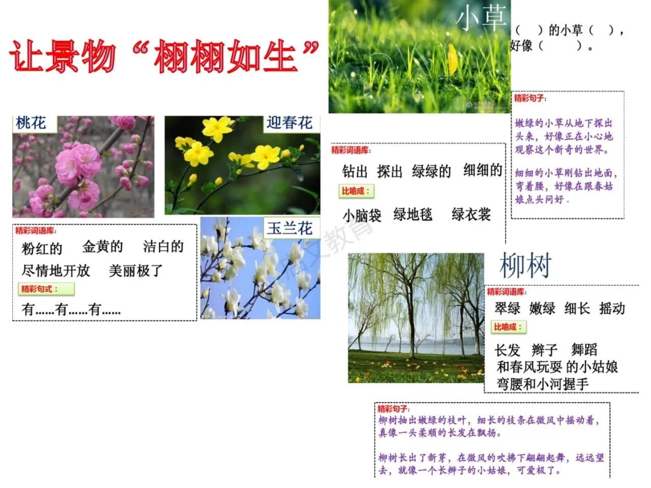 找春天二年级下册作文150个字,二年级下册第一单元春天看图写话