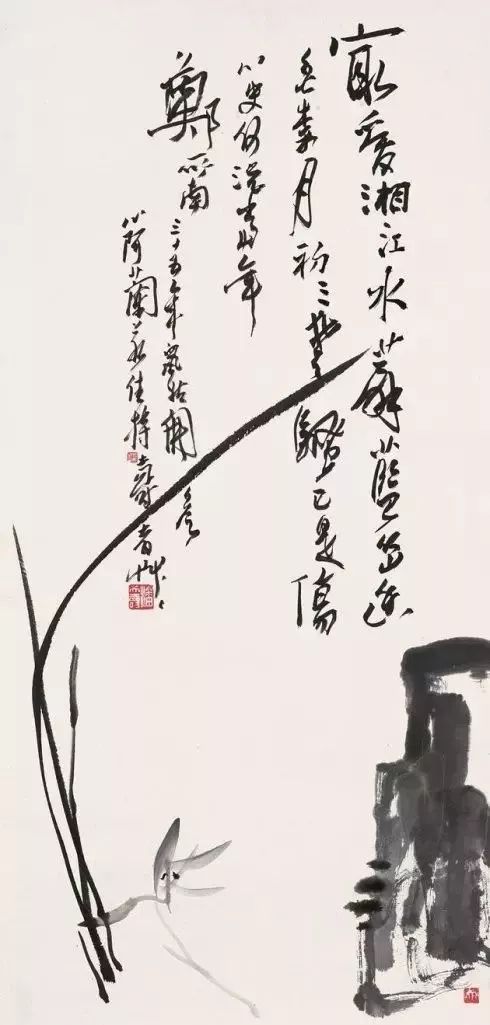 如何画兰花图片大全大图,怎么样画兰花才能好看