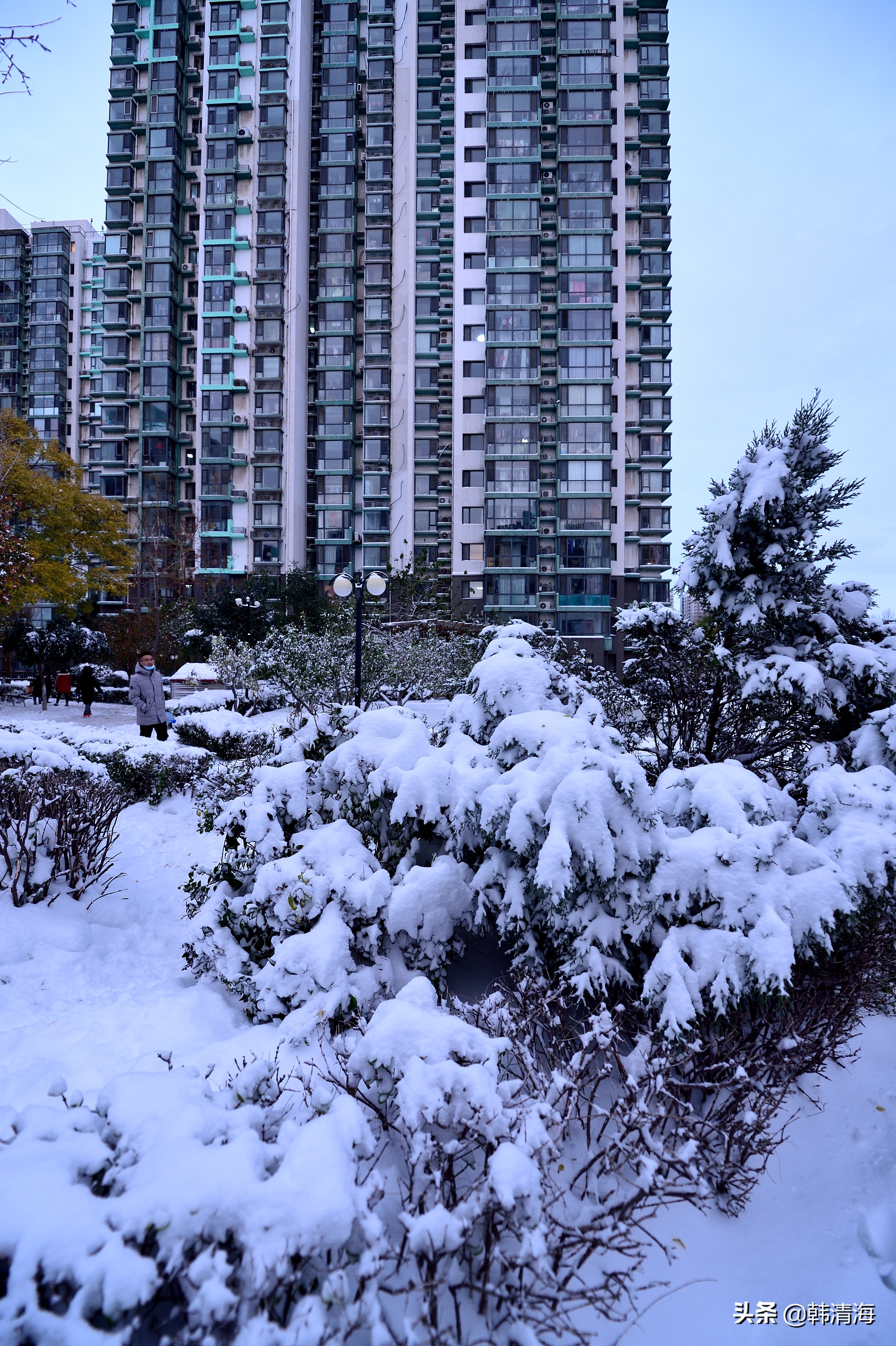 2021天津第一雪水畔花园小区装扮得更加圣洁和美丽