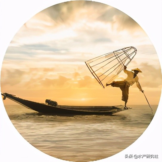 蛙病虫害是什么,石蛙常见病害的防治方法