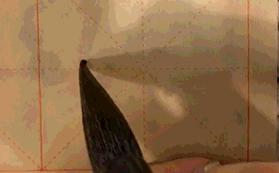 王羲之兰亭序书法入门必学碑帖,兰亭序碑帖讲解