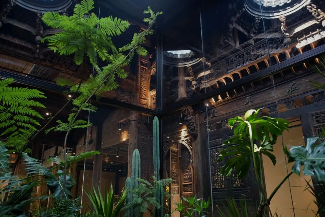 京城首家！探秘最热门“一尺花园”咖啡馆，西山脚*体下**会海派腔调