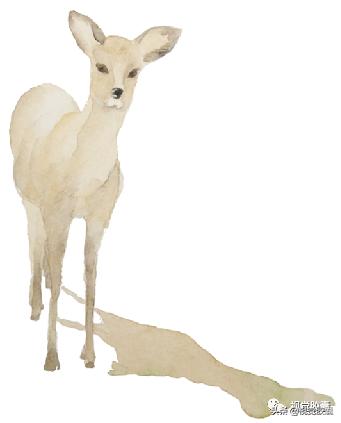 ppt模板温暖日系风,简约日系自然风ppt模板