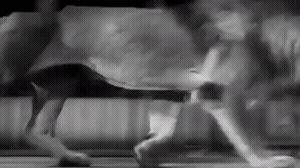 这些手段真的，太老套了