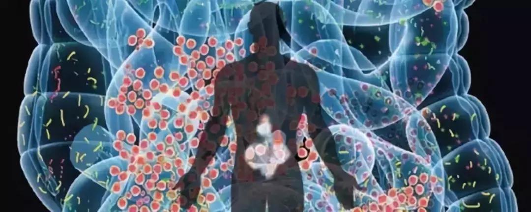 肠道菌群对癌症的影响,肠道菌群与癌症的最新研究