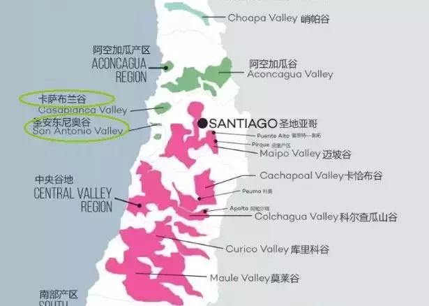 盲品葡萄酒是每种酒都喝过吗,盲品干红葡萄酒