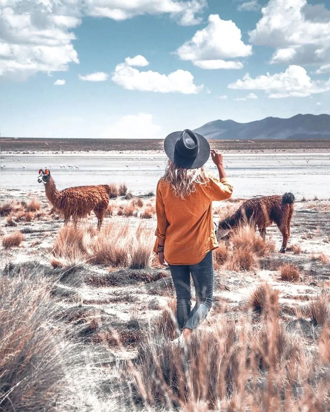 世界还有没确诊的国家,全球仅剩的4个零确诊的国家