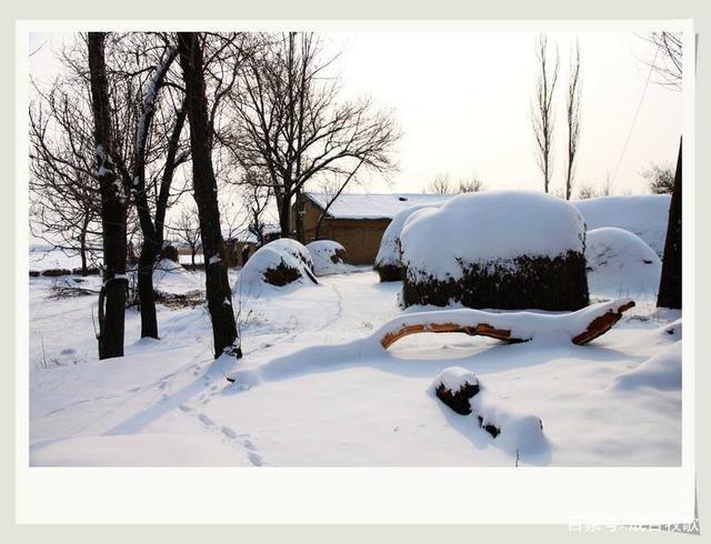 致疫情下的生活,致我的抗疫时光