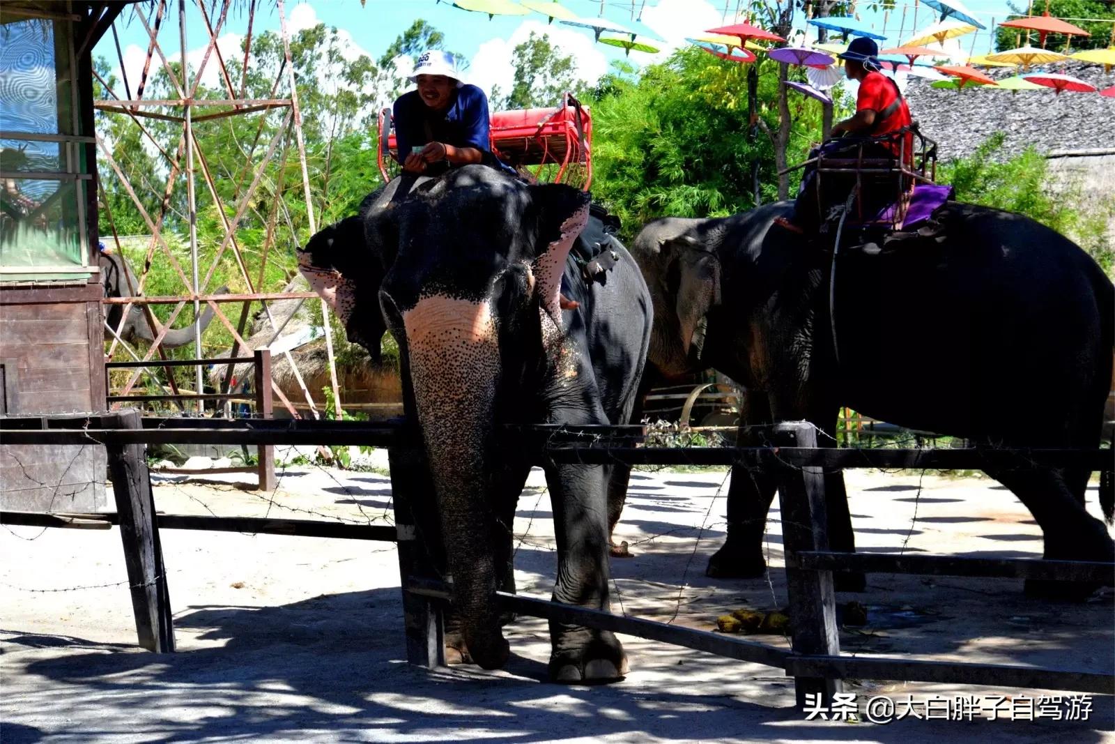 泰国风情之旅完整版小说,泰国风情十日游