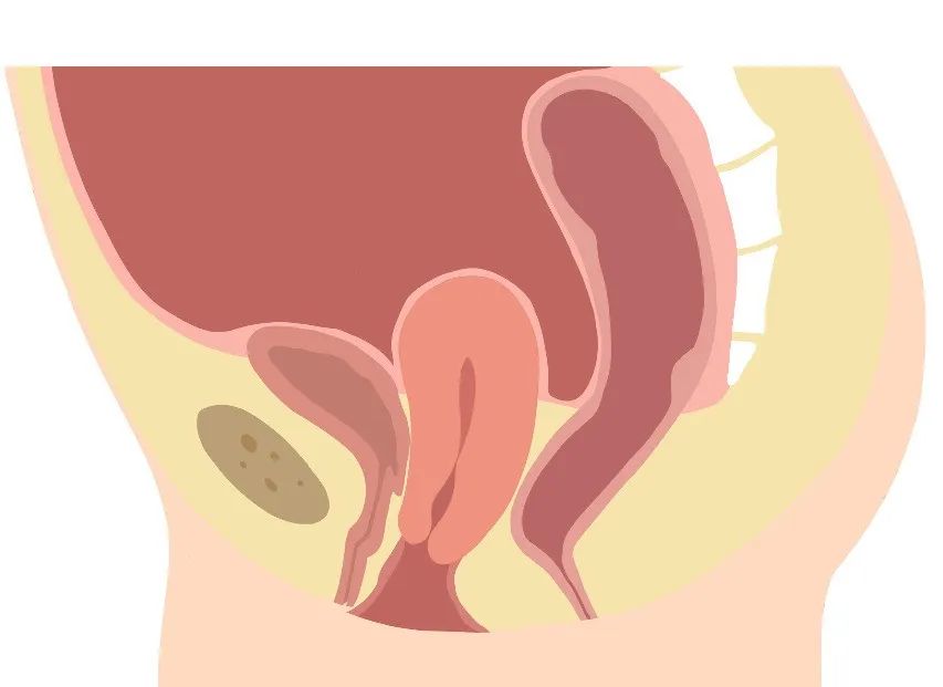 鸡西爱玛月子中心,鸡西爱玛家月子中心直播