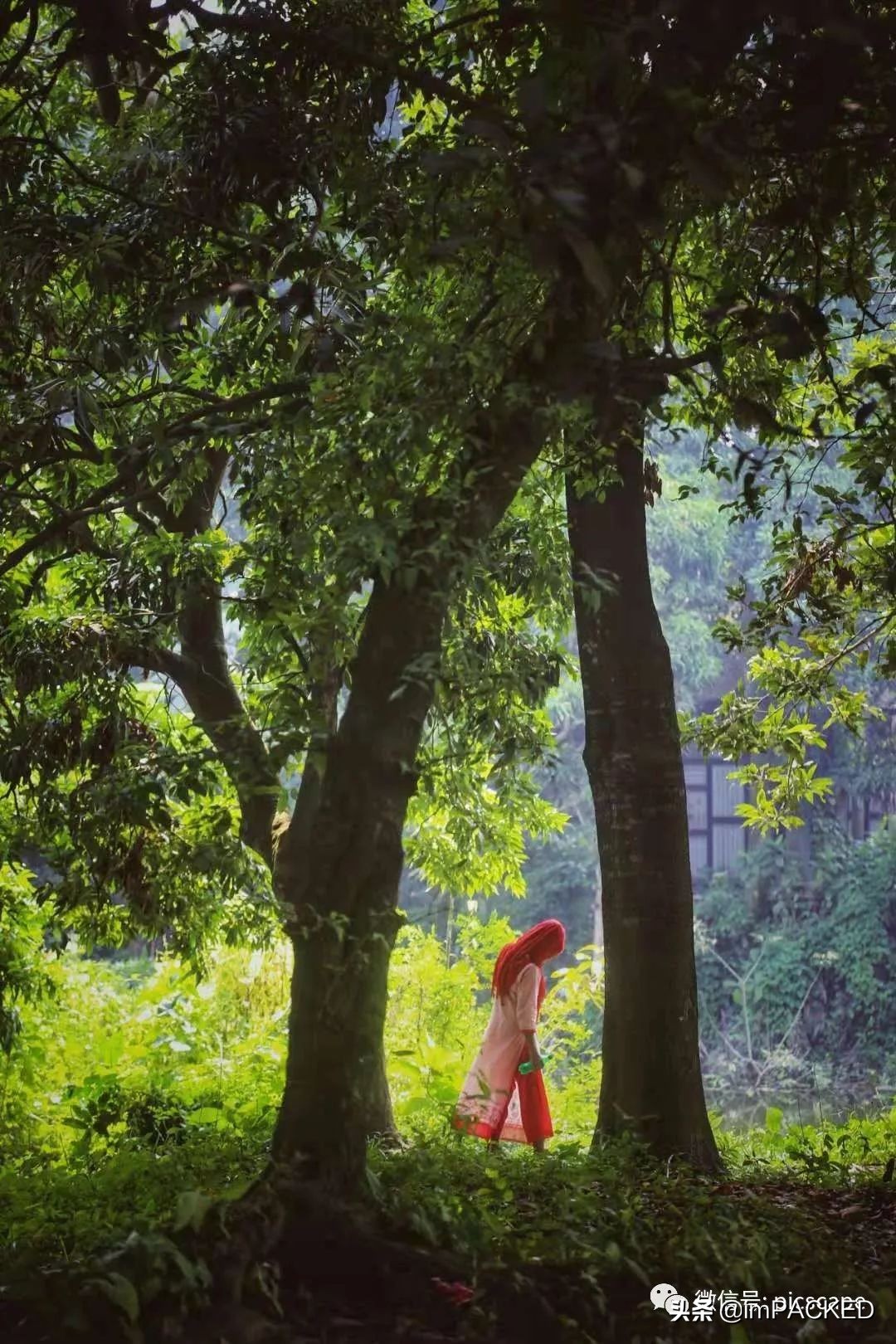 孟加拉国贫困与饥饿如何解决,孟加拉国艰难的生存之路