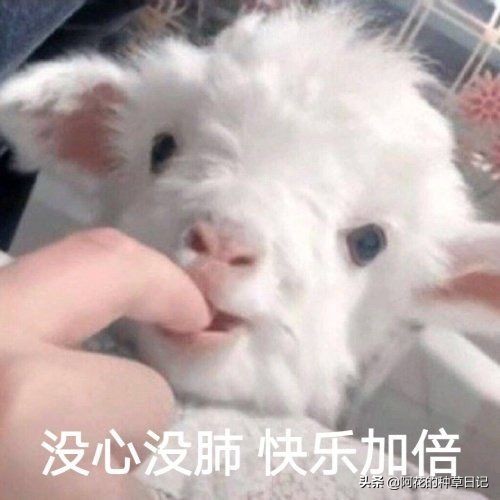 新手化妆从哪里起步,新手化妆怎么练