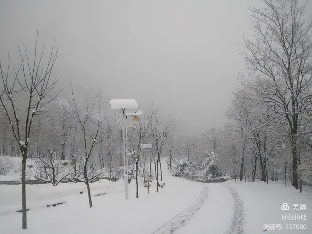 夜爬凤凰岭,雪落鸡冠山