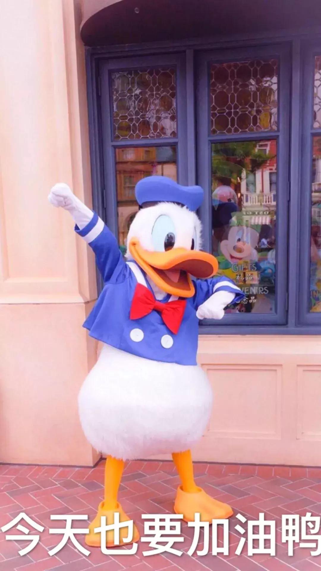 渴望说没有授权天猫直营，没有供货。渴望官网曾发大陆售假声明