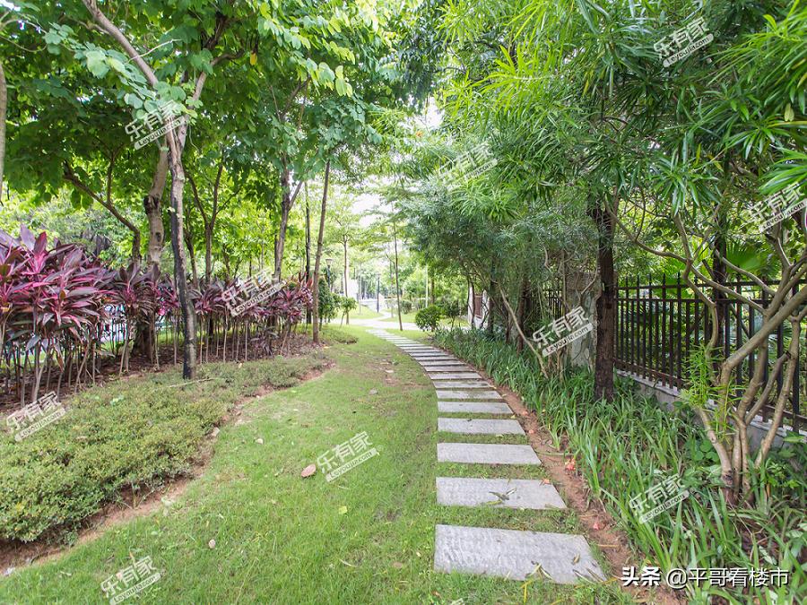 深圳市中心攻略,深圳布吉岛旅游攻略