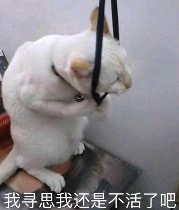 殷世航的财富密码！装疯卖傻五小时收入4500万，小丑竟是我自己